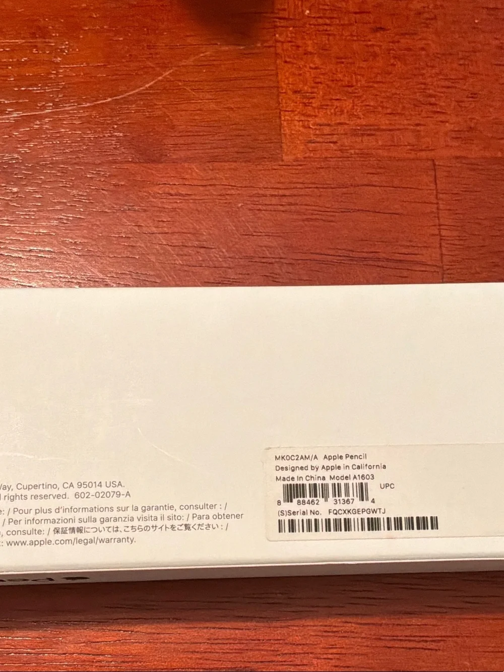 Apple Pencil (Stylus)